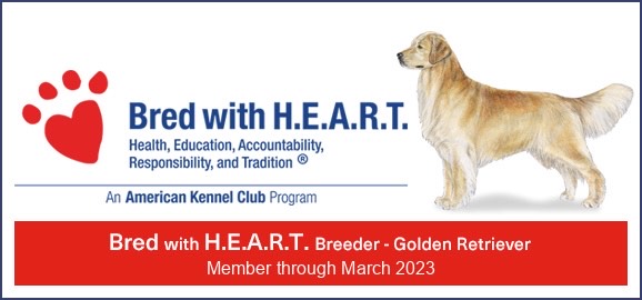Bred with HEART - Great Creek Canines